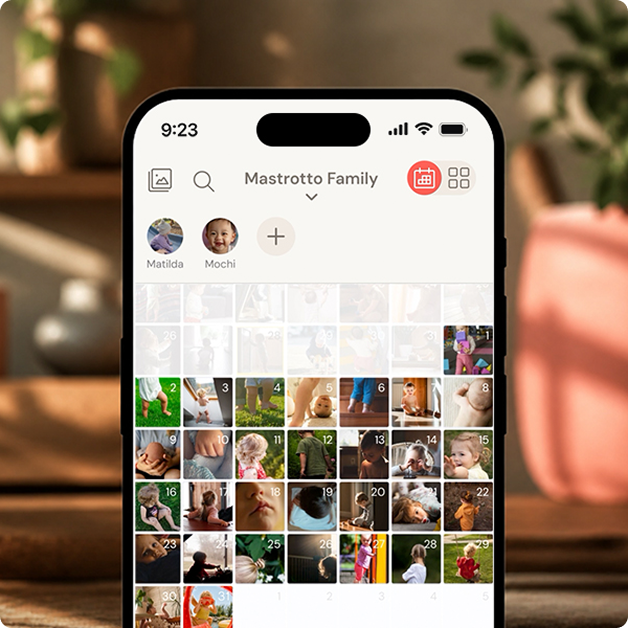 The App